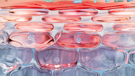 Rosactiv 2.0 Patented* Technology IMAGE